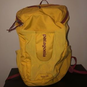 Patagonia Backpack